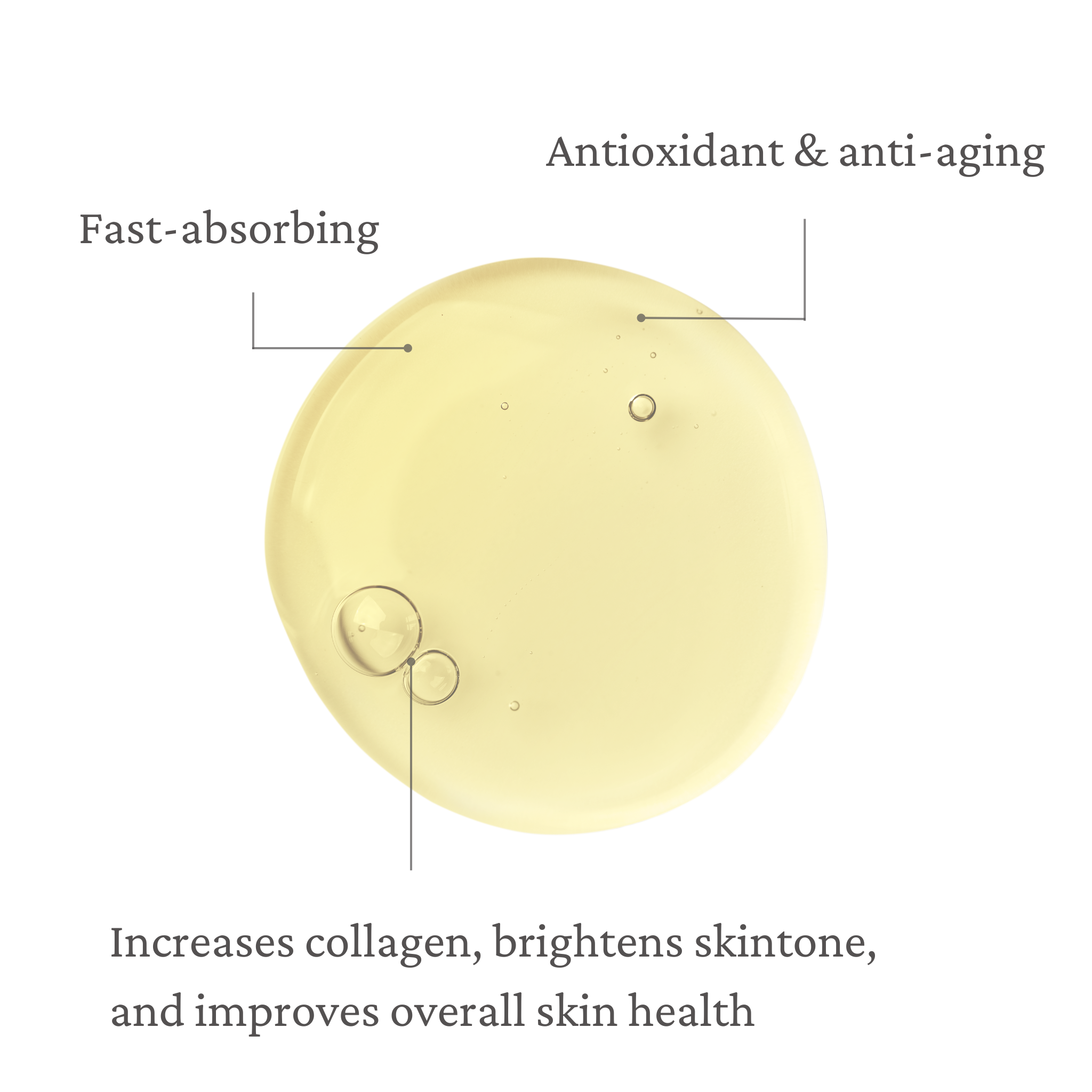 Phyto Retinol + C Serum | Anti-Aging